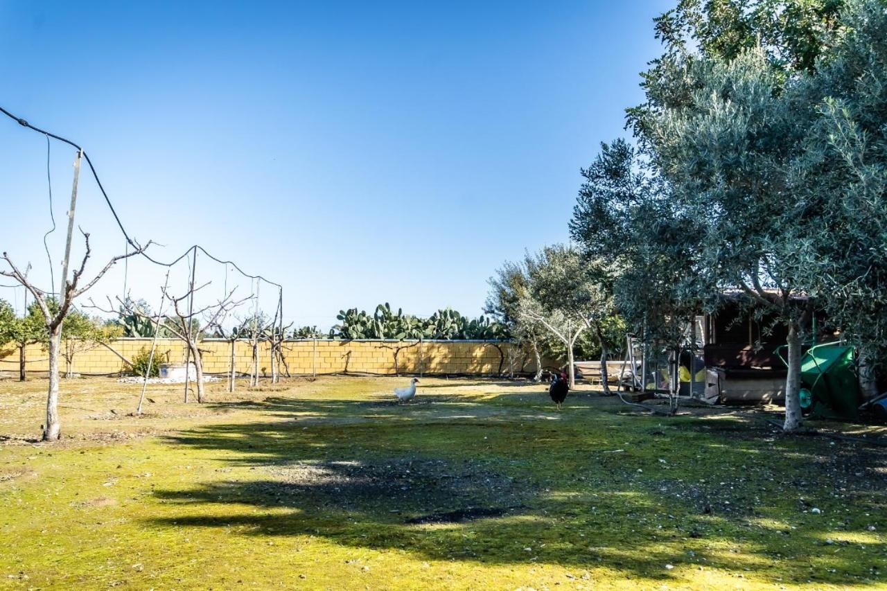 Reel Paradise Villa, Cyprus ラルナカ エクステリア 写真