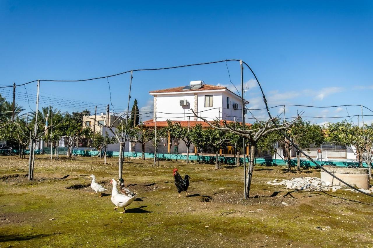 Reel Paradise Villa, Cyprus ラルナカ エクステリア 写真