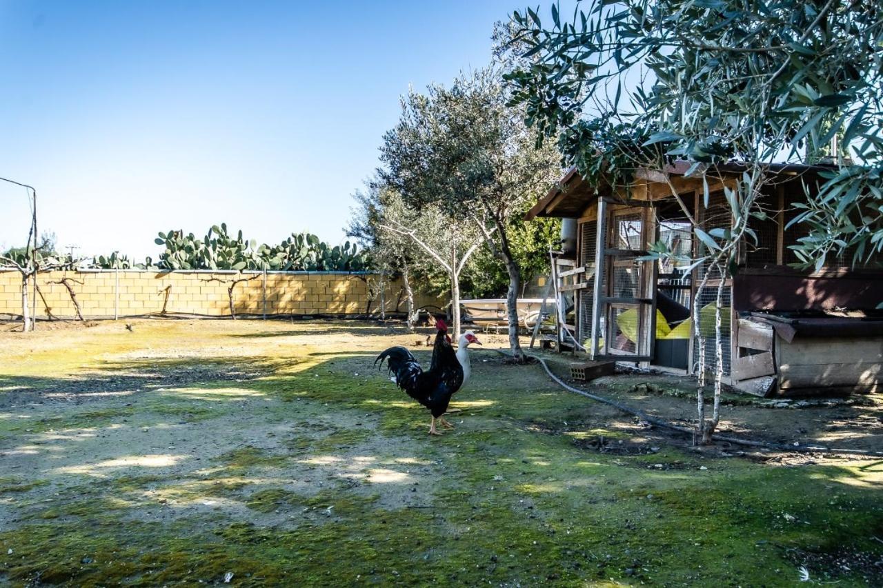 Reel Paradise Villa, Cyprus ラルナカ エクステリア 写真
